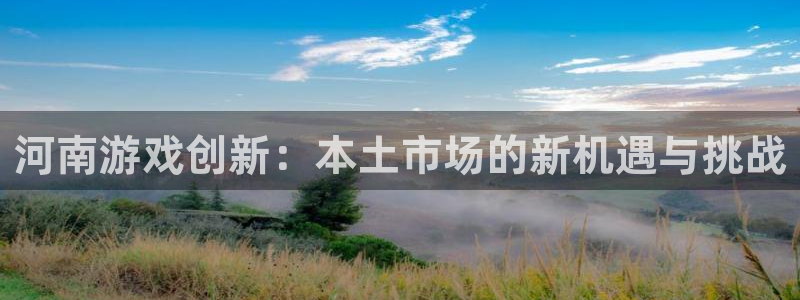 28大神网：河南游戏创新：本土市场的新机遇与挑战
