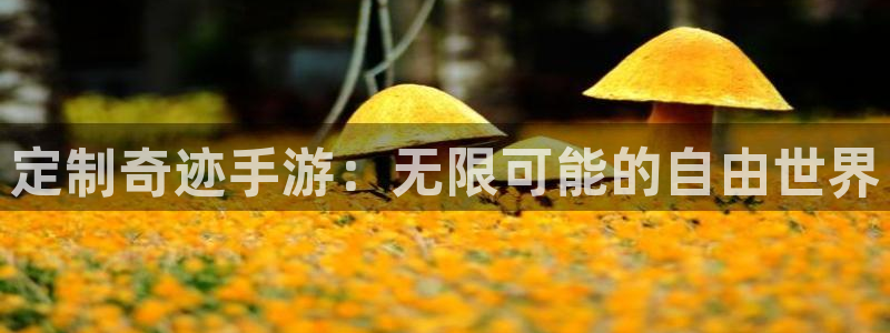 大神pc28预测：定制奇迹手游：无限可能的自由世界