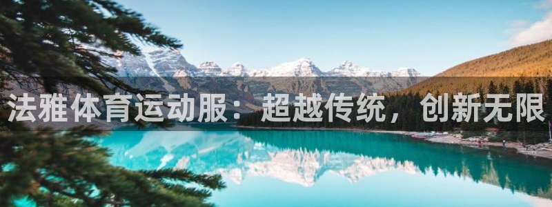 风速体育官网：法雅体育运动服：超越传统，创新无限