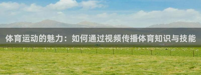 风速体育官网：体育运动的魅力：如何通过视频传播体育知识与技能