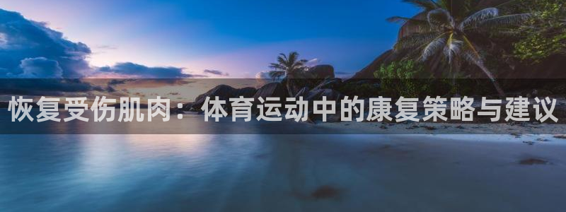 风速体育直播：恢复受伤肌肉：体育运动中的康复策略与建议