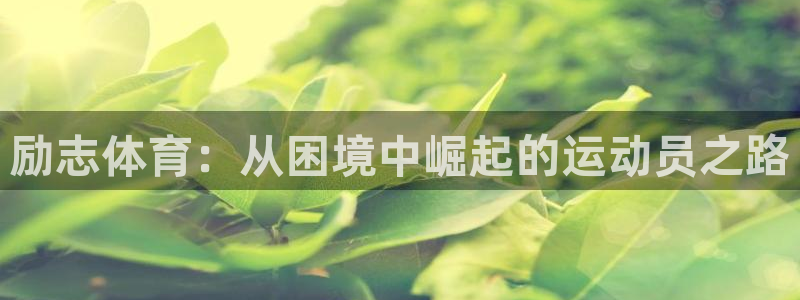 风速体育nba直播：励志体育：从困境中崛起的运动员之路