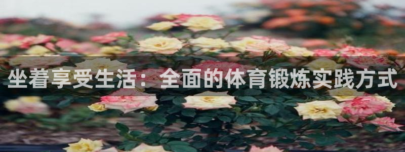 风速体育：坐着享受生活：全面的体育锻炼实践方式
