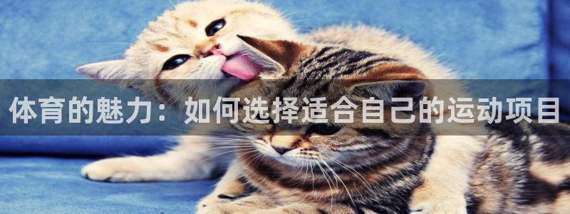风速体育下载：体育的魅力：如何选择适合自己的运动项目