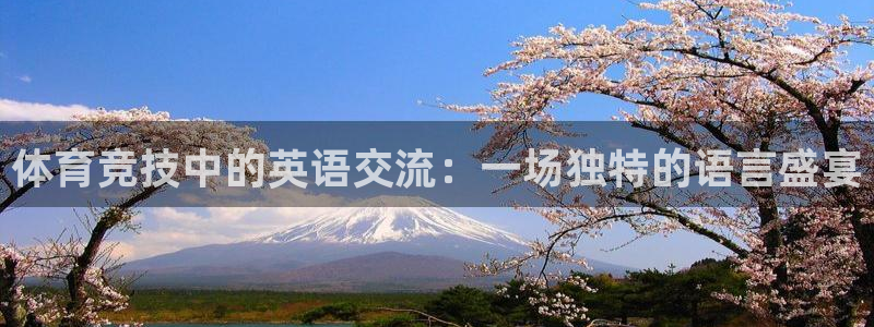 风速体育：体育竞技中的英语交流：一场独特的语言盛宴