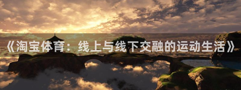 风速体育直播：《淘宝体育：线上与线下交融的运动生活》