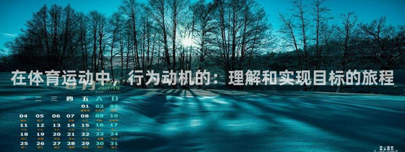 风速体育：在体育运动中，行为动机的：理解和实现目标的旅程