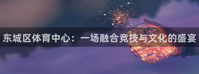 风速体育直播：东城区体育中心：一场融合竞技与文化的盛宴