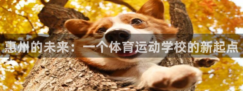 风速体育：惠州的未来：一个体育运动学校的新起点