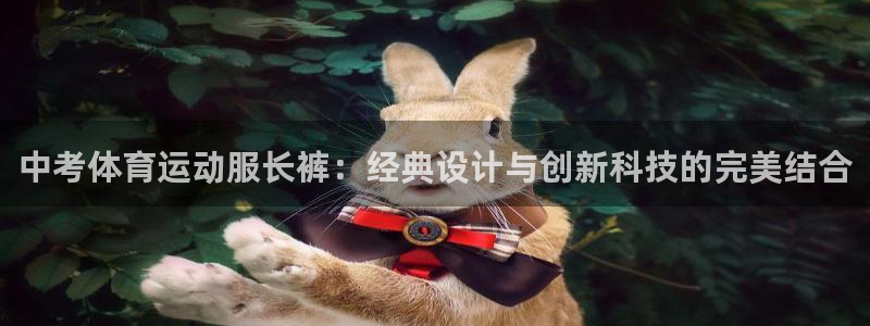 风速体育直播：中考体育运动服长裤：经典设计与创新科技的完美结合